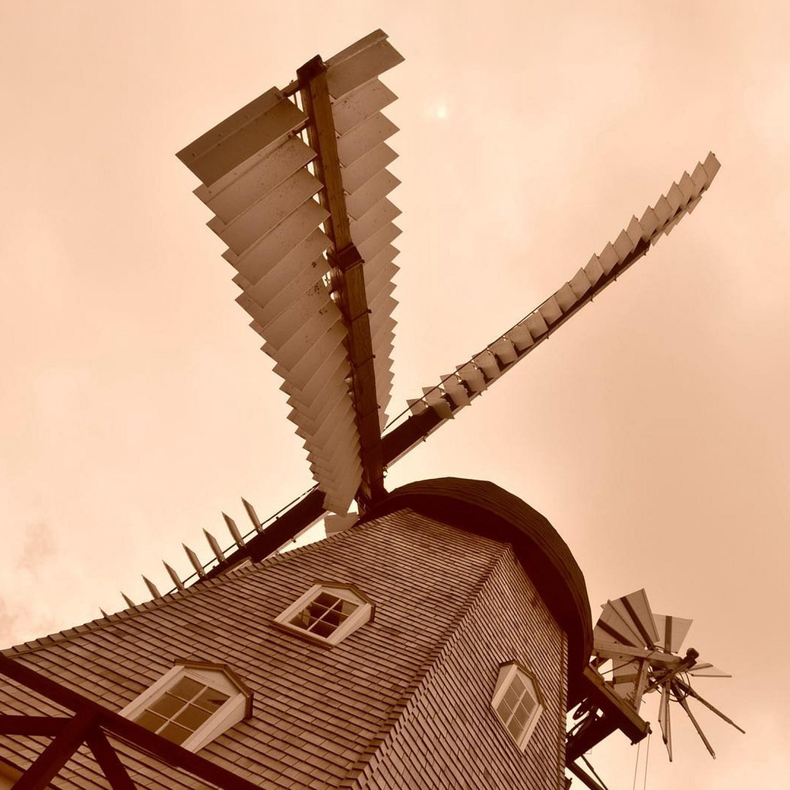 Blades detail