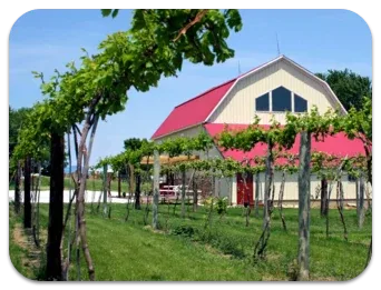Danish Windmill image showing Danish Countryside Vines & Wines.