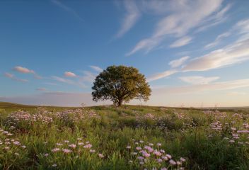 Wide prairie landscape image labeled Detail Prairie Footer.