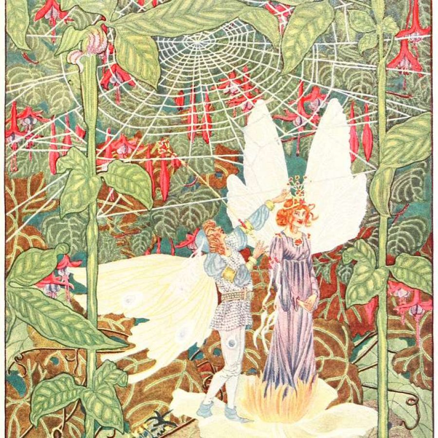 Color illustration of two fairy-like figures standing among flowers and spiderwebs.