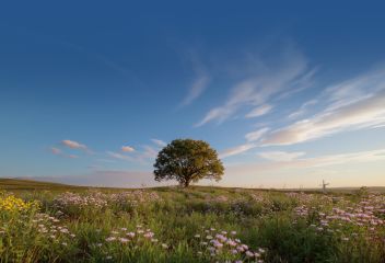 Danish Windmill image showing Detail Prairie Big Sky.