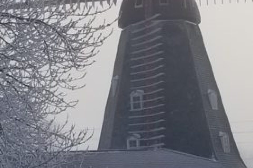 Update image showing 20201231 085148 281x500.