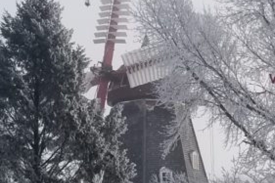 Update image showing 20201231 085225 281x500.