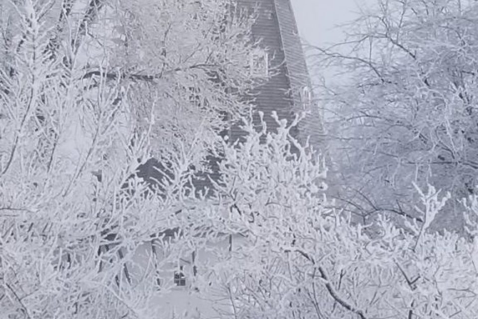 Update image showing 20201231 085243 576x1024.