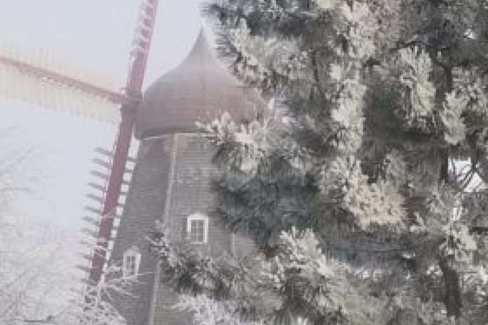 Update image showing 20201231 085324 281x500.