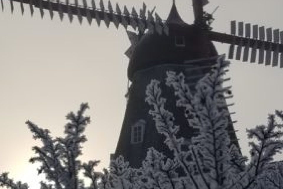 Update image showing 20201231 085611 281x500.